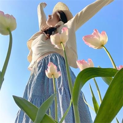 沉香如屑·沉香重华 在线观看